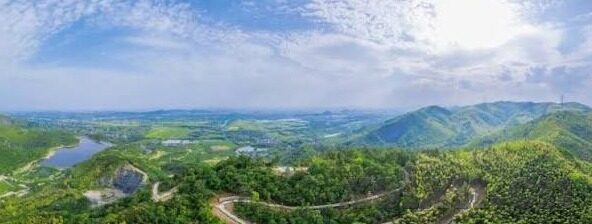 麻豆经济app-麻豆经济App，重塑地方经济活力的新动力